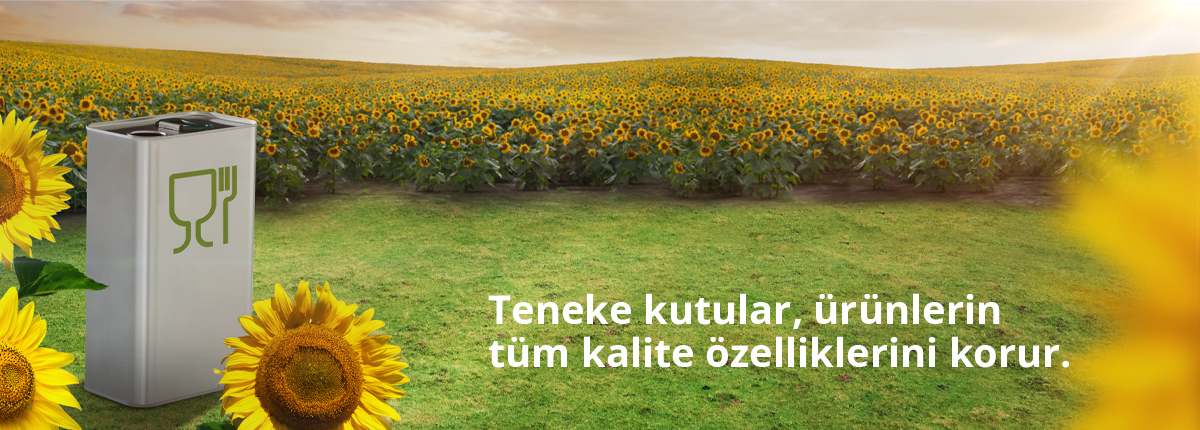 Türkçe_1200 px Aycicegi v01