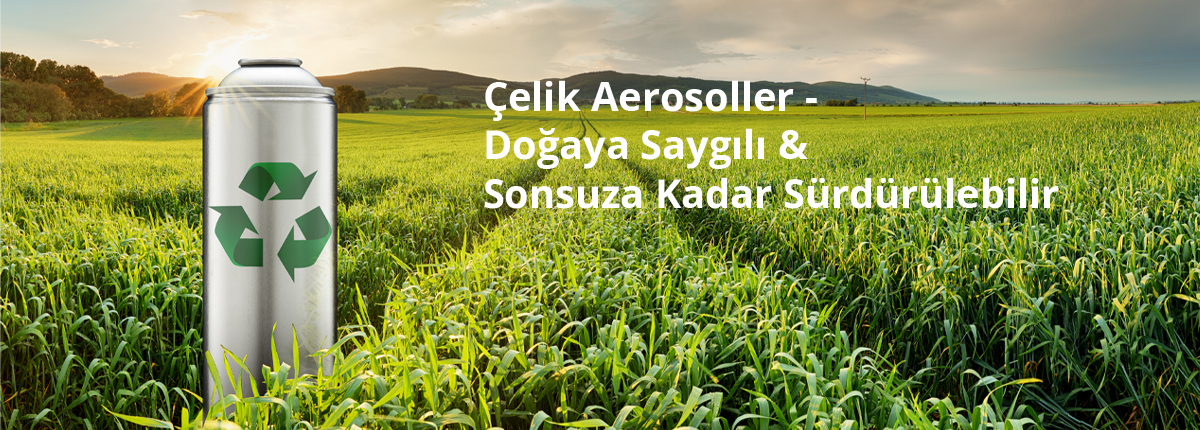 Türkçe_1200 px aerosol v01